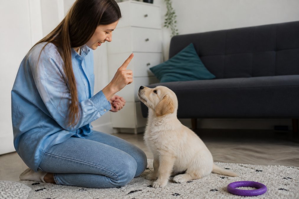 Pupford Alternative for Puppy Training: 2026 Guide