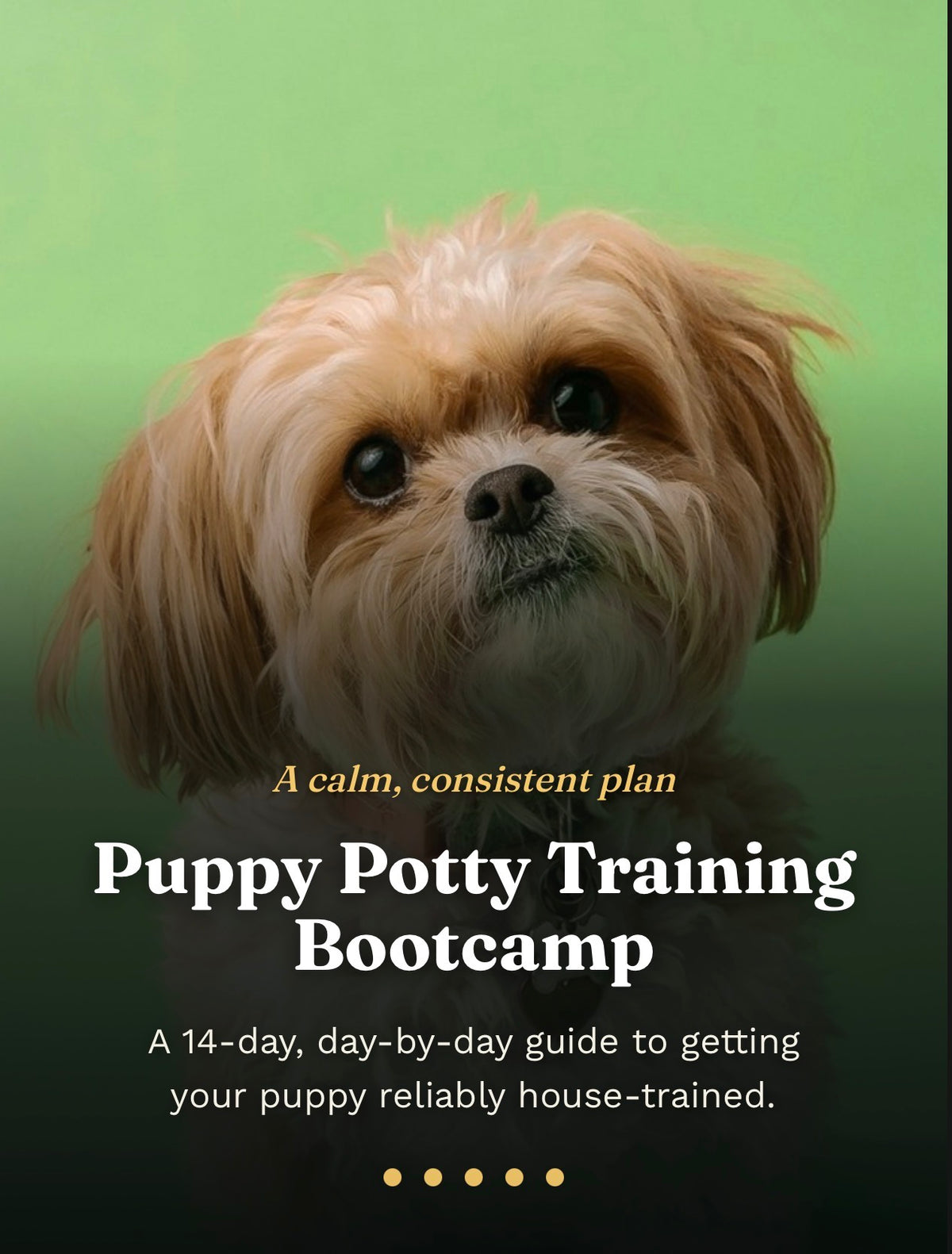 14 Day Puppy Potty Training Bootcamp guide cover with a puppy sitting on grass